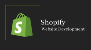 Shopify ecommerce website